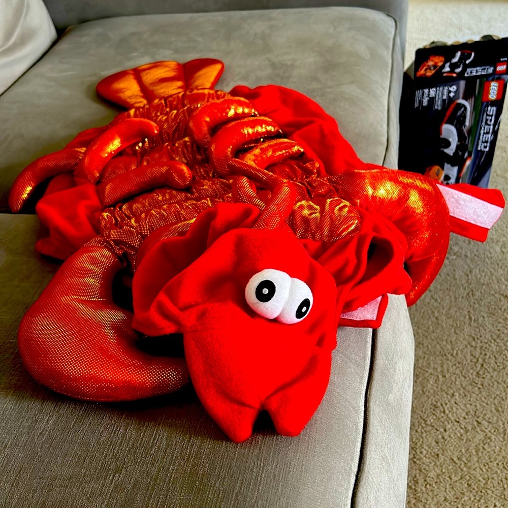 Lobster Dog Costume